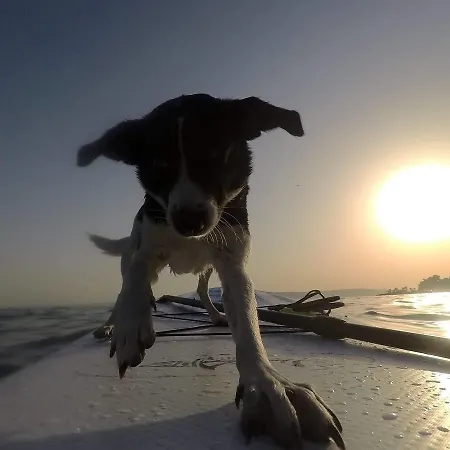 Wonderful World Спліт