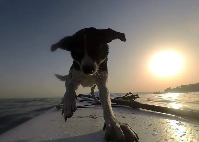 Wonderful World Σπλιτ